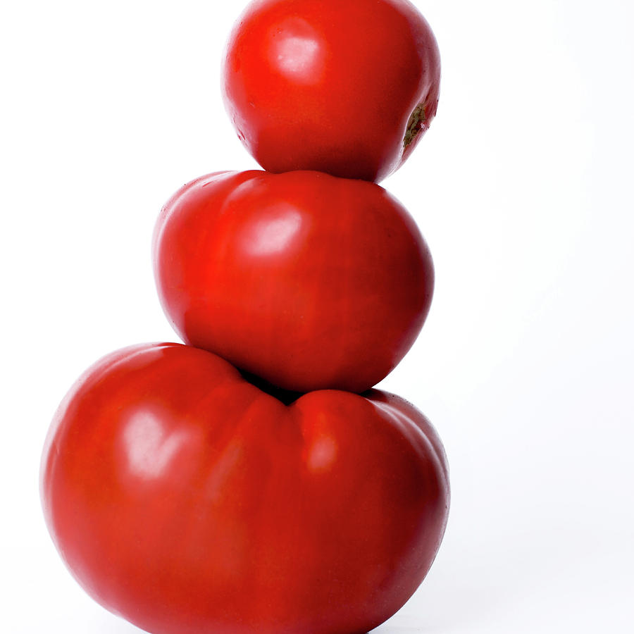 Nature Photograph - Tomatoes by Bernard Jaubert