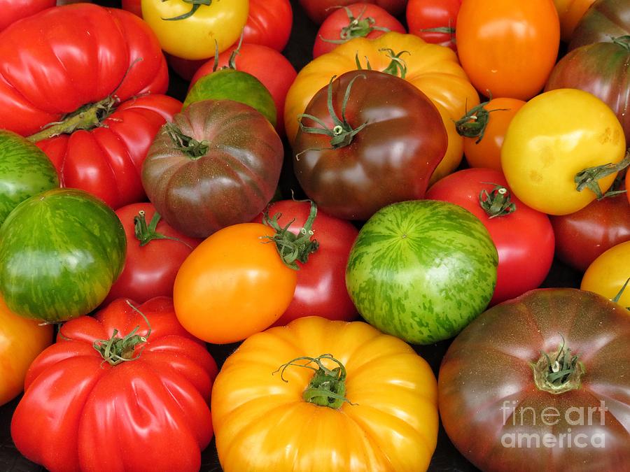 Tomatoes Photograph by Diana Rajala