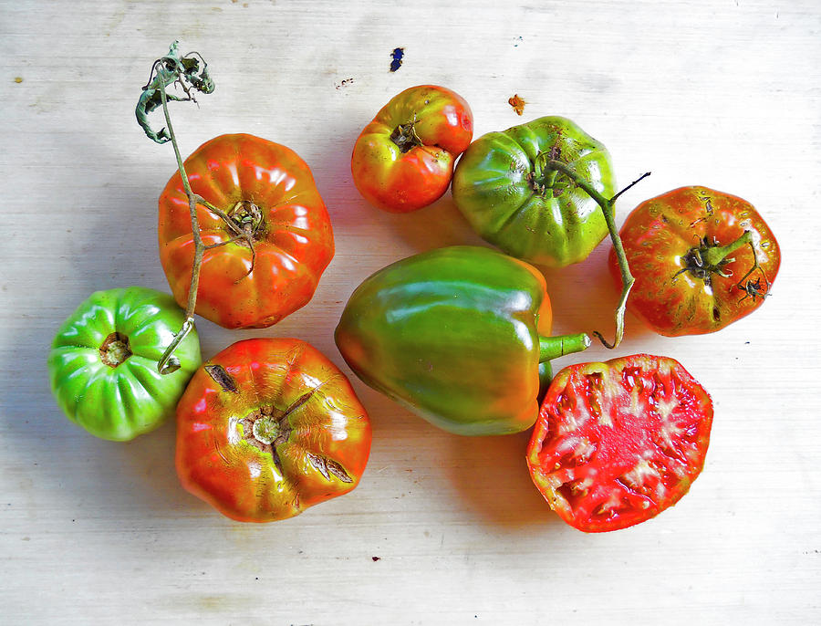 Tomatoes from the Top Photograph by Joe Roache