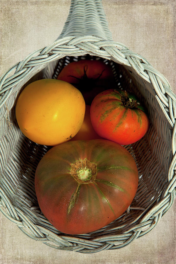 Tomatoes in a Horn of Plenty Basket 2 Photograph by Dan Carmichael
