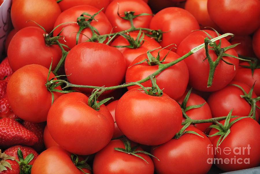 Tomato Photograph - Tomatoes by Jelena Jovanovic