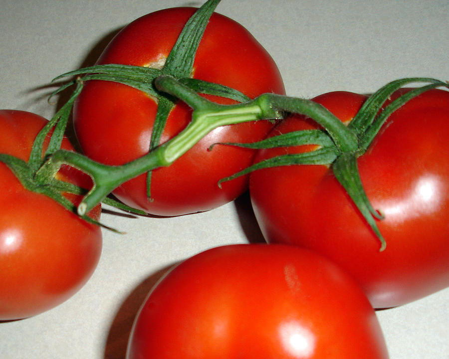 Tomatoes Photograph by Lynda Lehmann