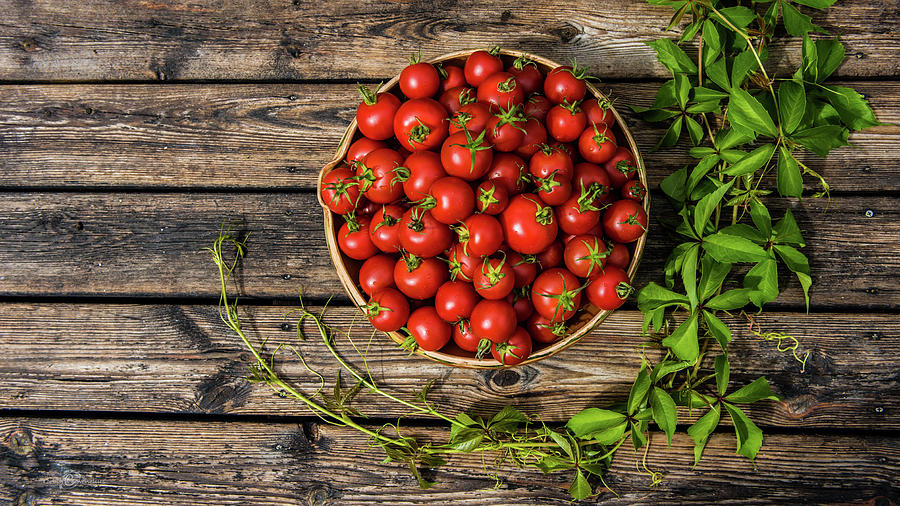 Tomatoes rustic Photograph by Torbjorn Swenelius