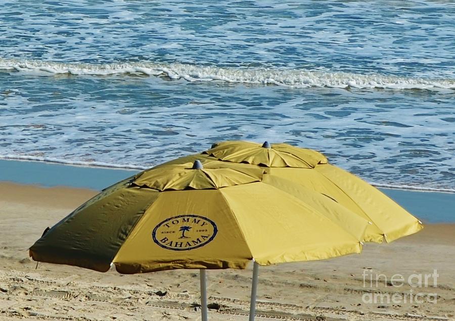 Tommy Bahama Beach Umbrella Photograph by Bob Sample
