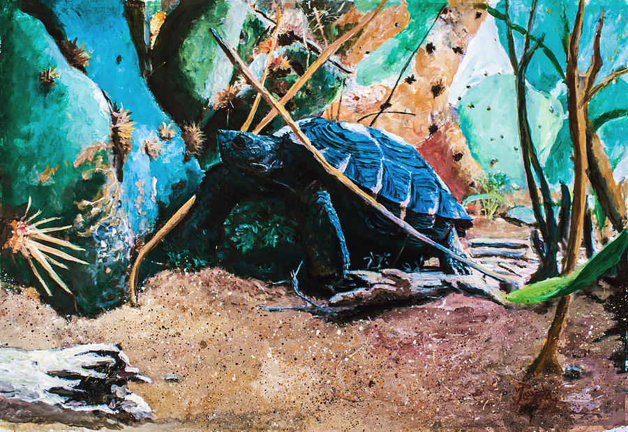 Turtle Painting - Tommy the Texas Tortoise by Toyah Taylor