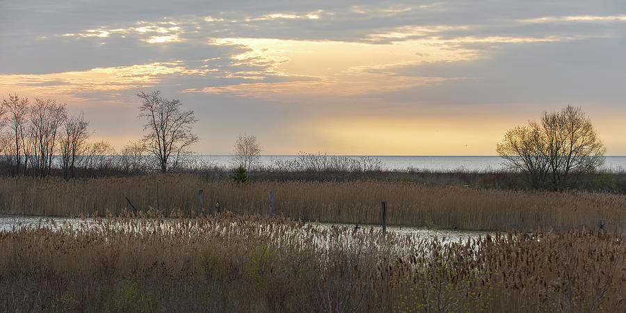 Tommy Thompson Park Morning Photograph by Rick Shea