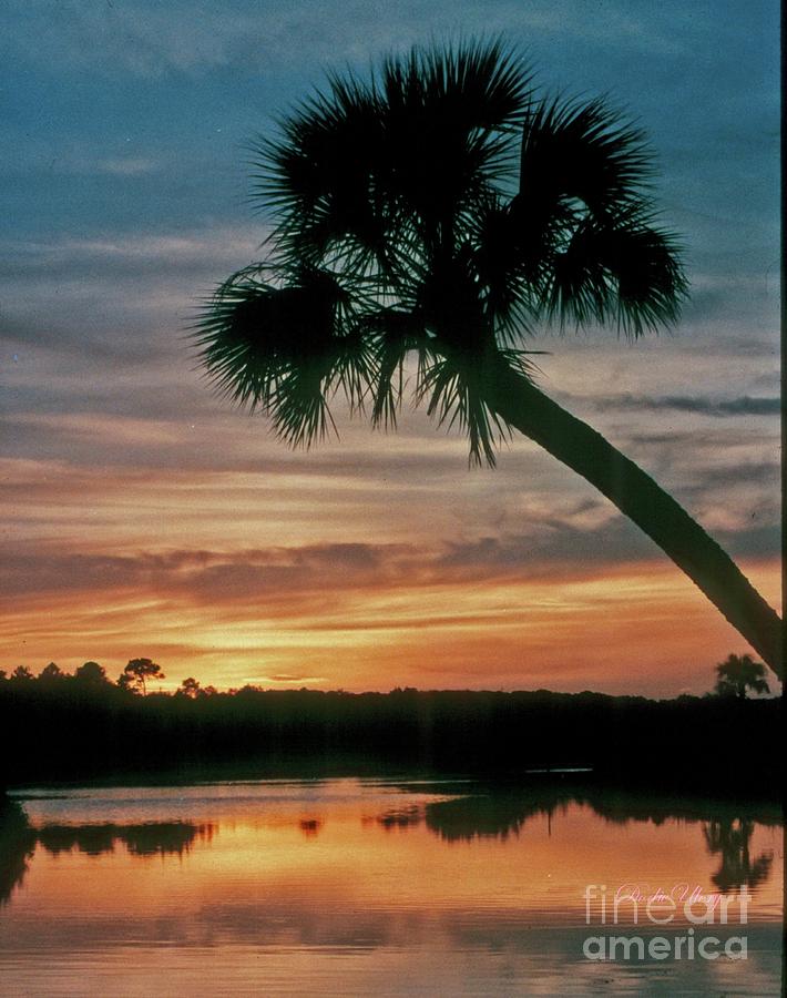 Tomoka Blue Sunset Photograph by Dodie Ulery