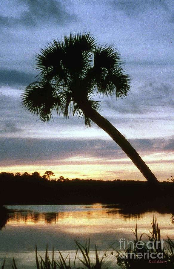 Tomoka River Sunset Photograph by Dodie Ulery