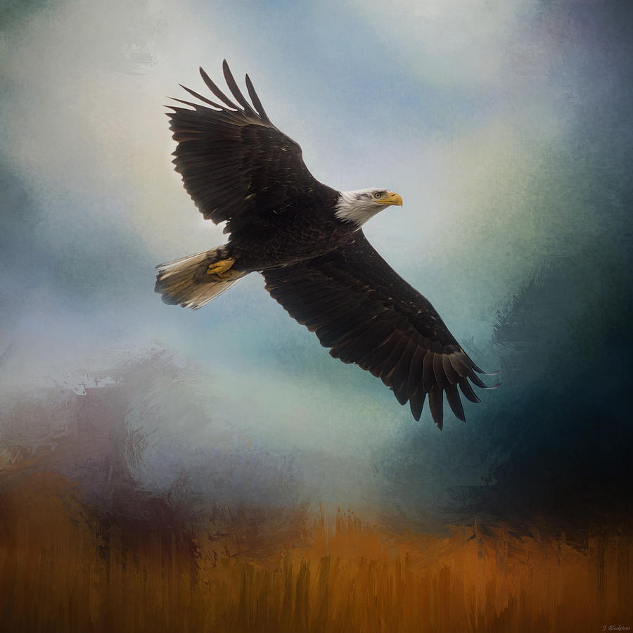 Tomorrow - Eagle Art Painting by Jordan Blackstone