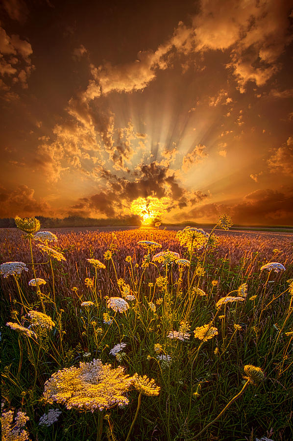Tomorrow Is Just One Of Yesterdays Dreams Photograph by Phil Koch