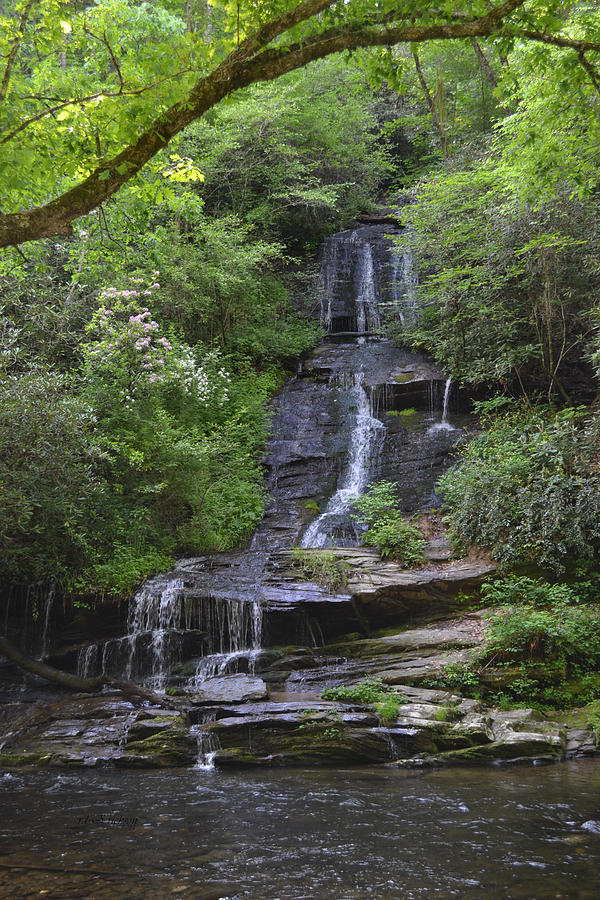 Tom's Branch Falls on Deep Creek Photograph by rd Erickson - Fine Art ...