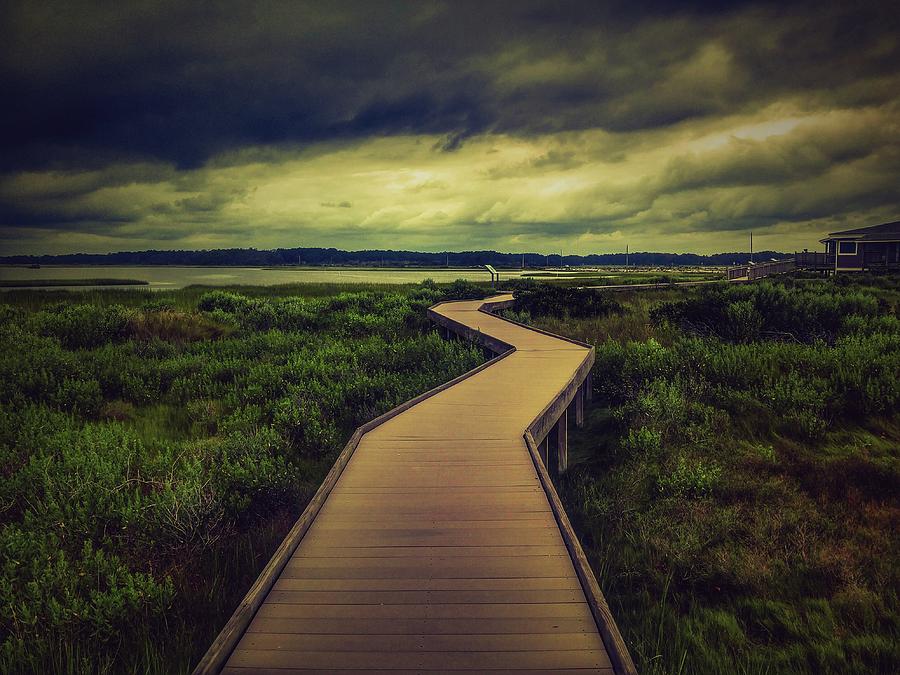 Nature Photograph - Toms Cove Boardwalk Trail 2 by Shelley Smith
