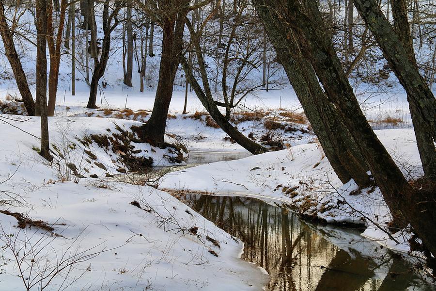 Tree Photograph - Toms Creek in Winter 2 by Kathryn Meyer