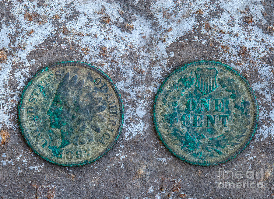 Toned Indian Cent Photograph by Randy Steele