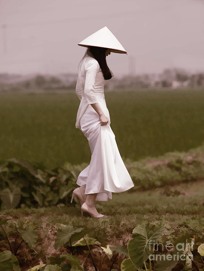 Tones Woman Ao Dai Vietnamese Photograph by Chuck Kuhn - Pixels