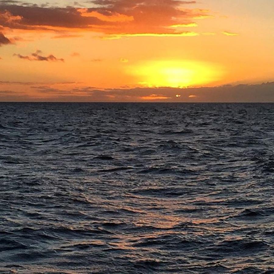 Maui Photograph - Tonights Sunset Cruise Offered Us A by Darice Machel McGuire