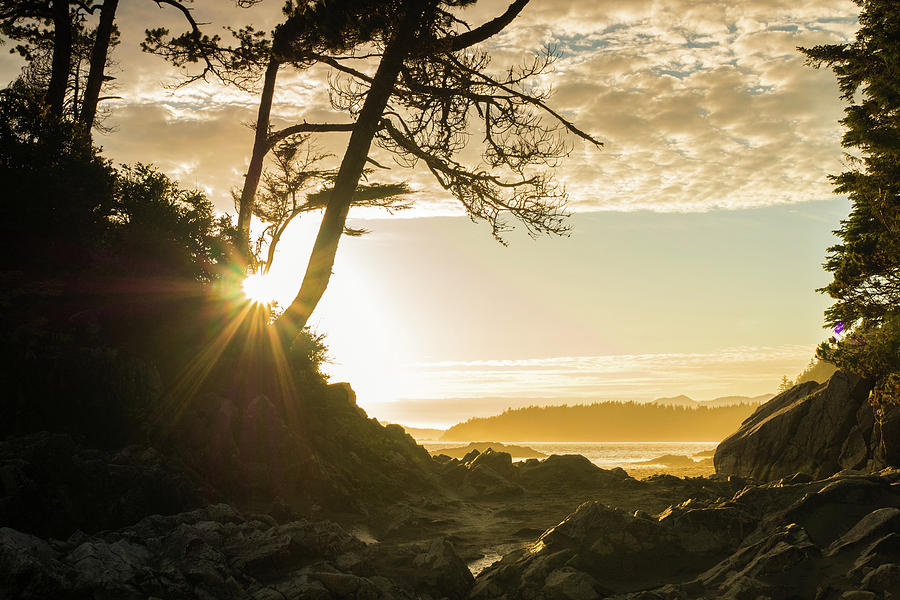 Tonquin Beach by Crystal Hoeveler Tonquin Beach by Crystal Hoeveler