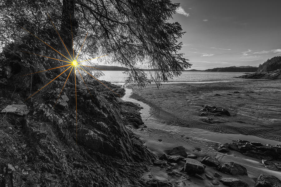 Tonquin Beach Sun Rays Photograph by Mark Kiver