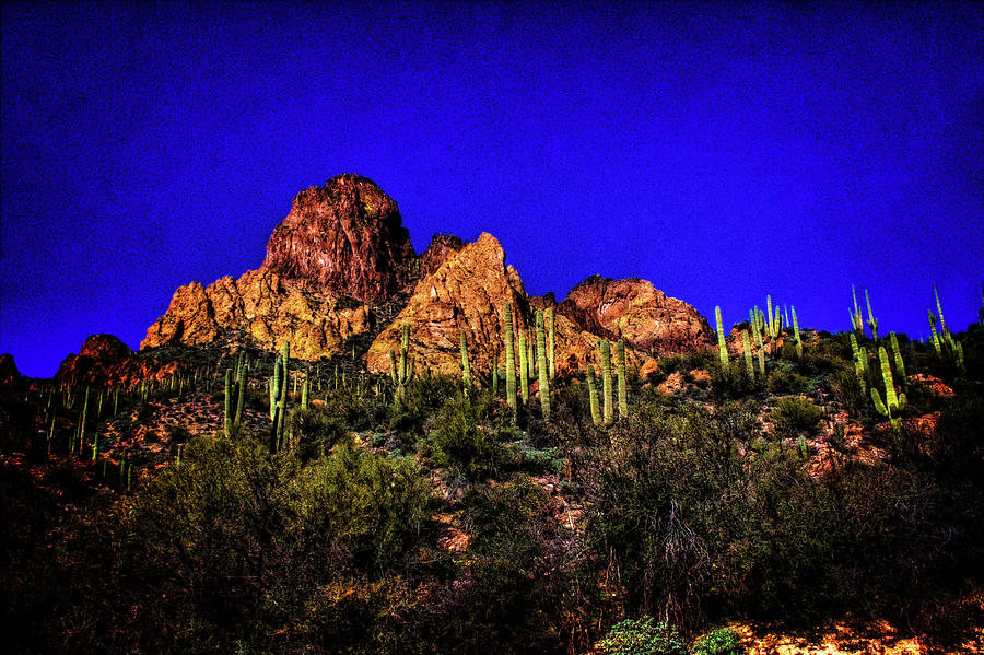 Tonto National Forest Photograph by Roger Passman