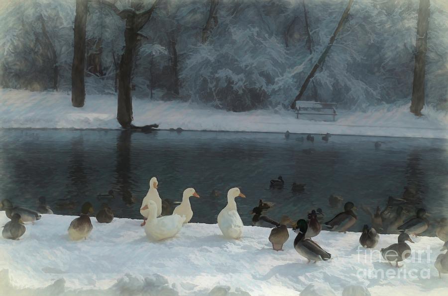 Duck Photograph - Too Cold to Swim by Luther Fine Art