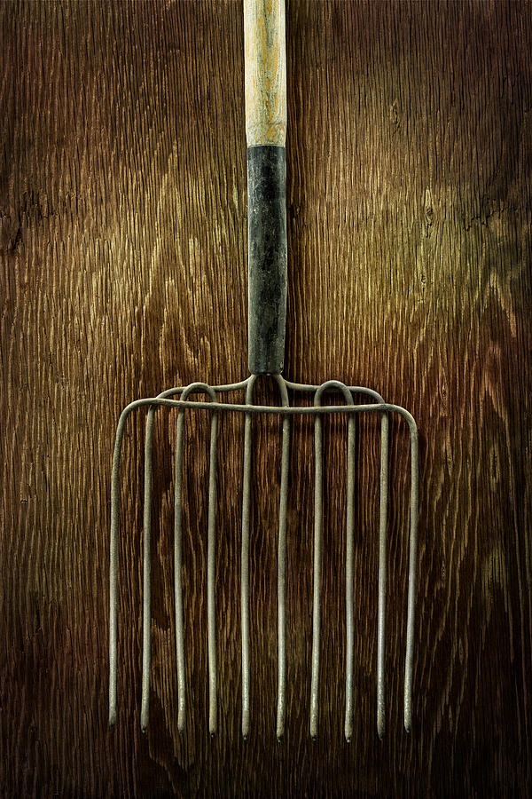 Vintage Photograph - Tools On Wood 21 by Yo Pedro