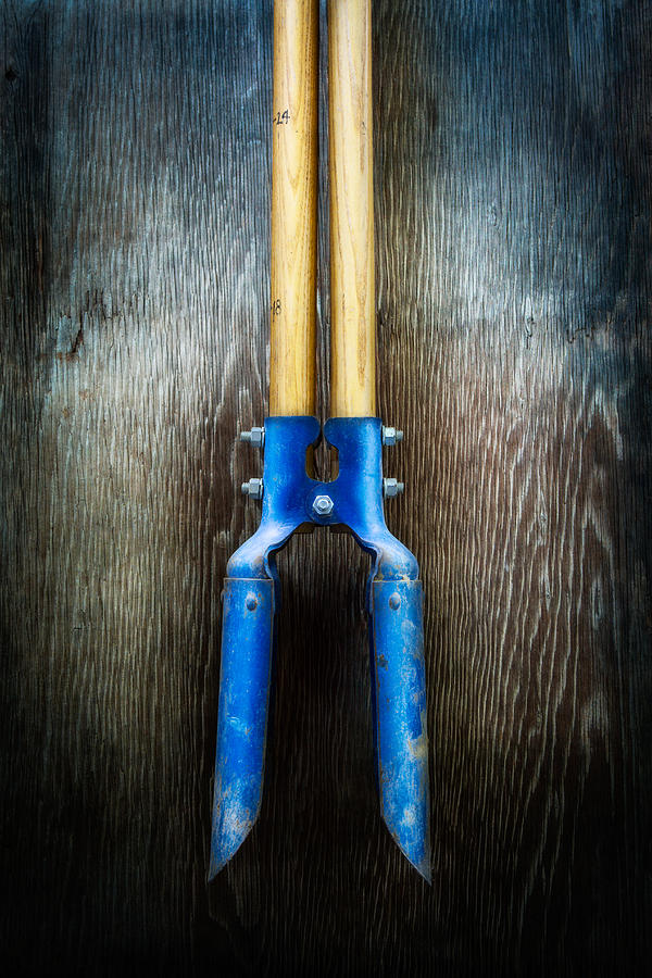 Vintage Photograph - Tools On Wood 24 by YoPedro