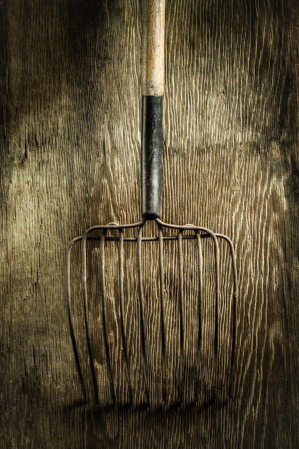 Vintage Photograph - Tools On Wood 25 by Yo Pedro