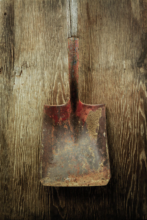 Vintage Photograph - Tools On Wood 3 by Yo Pedro