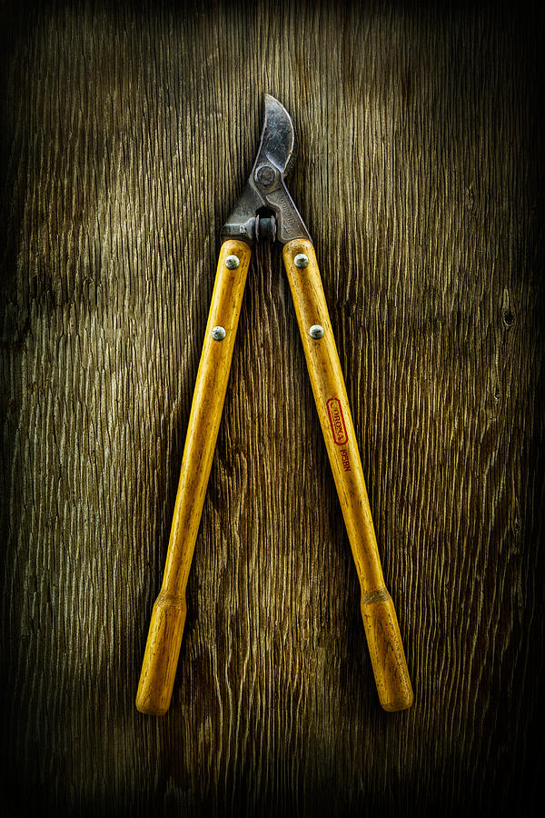 Vintage Photograph - Tools On Wood 34 by YoPedro
