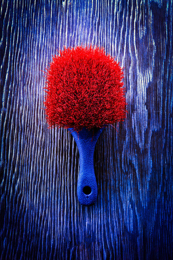 Brush Photograph - Tools On Wood 57 by YoPedro