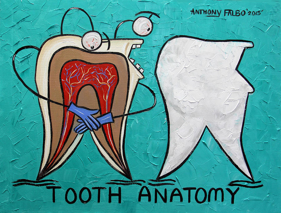 Tooth Anatomy Painting - Tooth Anatomy by Anthony Falbo