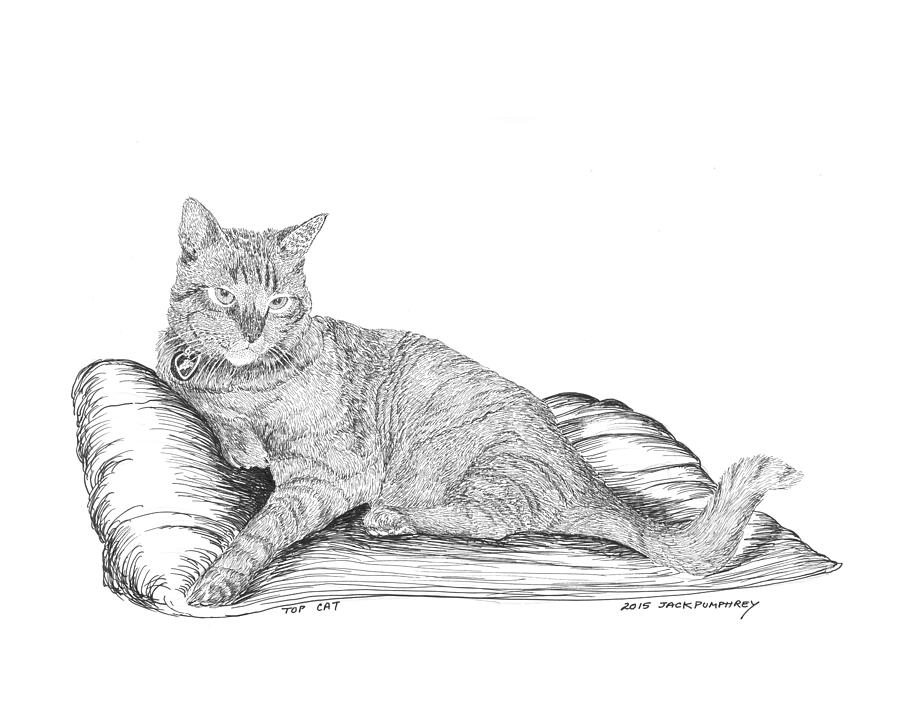 Top Cat Drawing