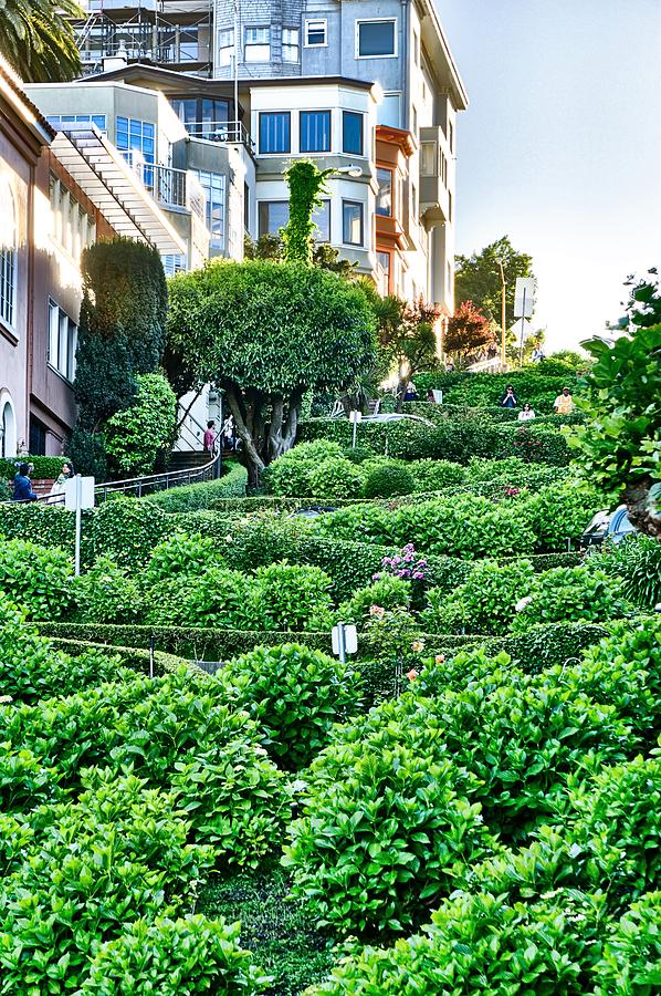 Top City Views From Lombard Street In San Francisco California Photograph by Alex Grichenko