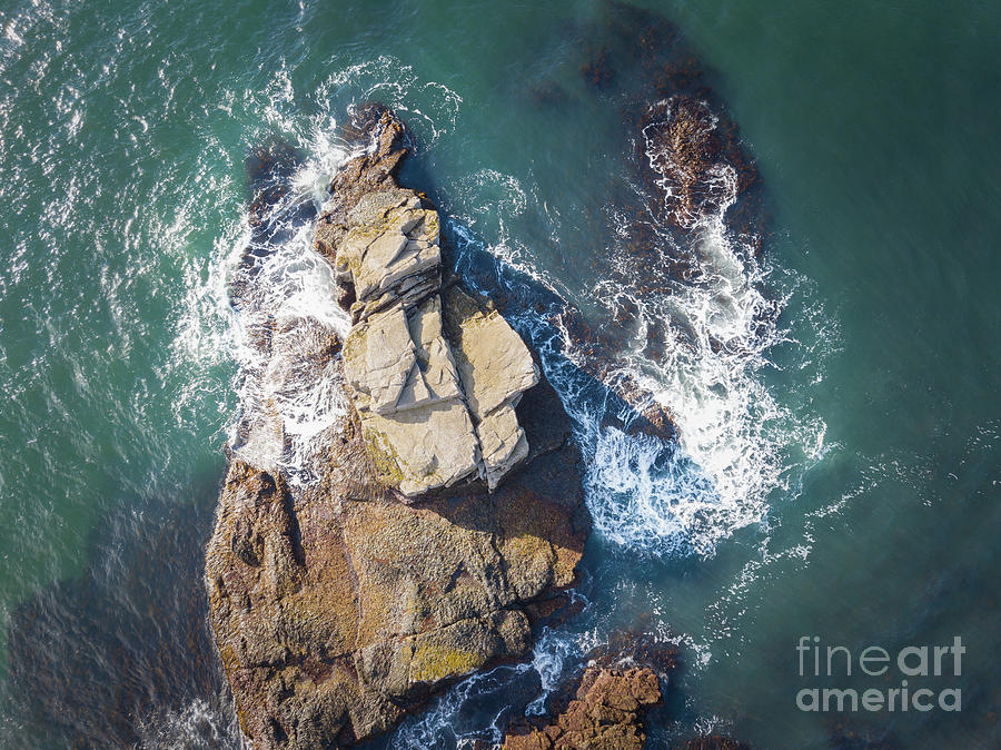 Top Down View In Acadia National Park Photograph by Michael Ver Sprill