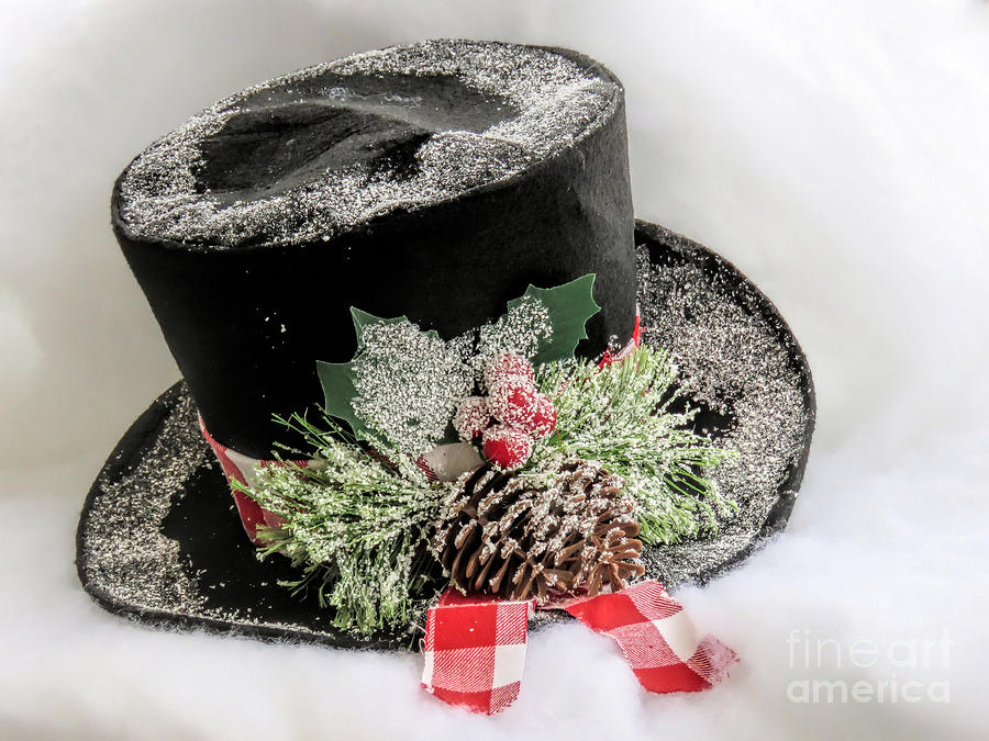 Top Hat  Photograph by Janice Drew