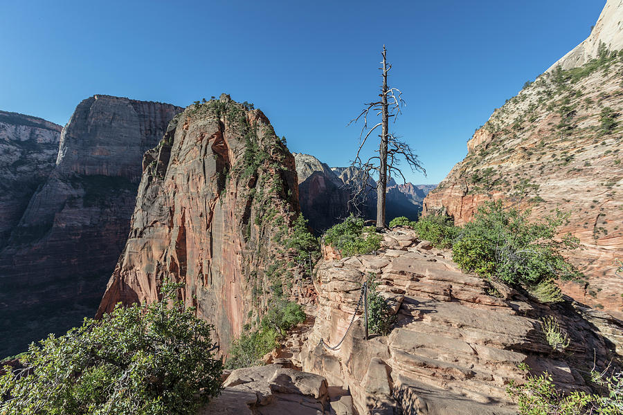 Top of Angels Landing 1 Photograph by John McGraw