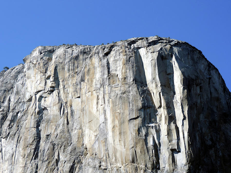 Top Of El Capitan Photograph by Eric Forster