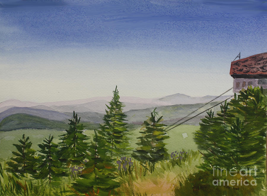 Top of Jay Peak in Summer Painting by Donna Walsh
