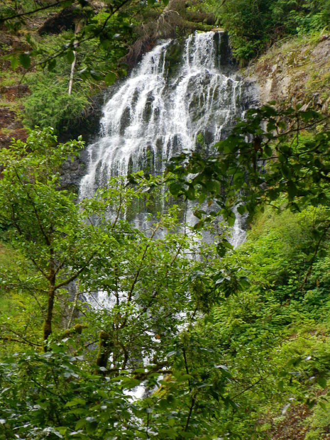 Top of Munson Creek Falls Photograph by Gallery Of Hope 