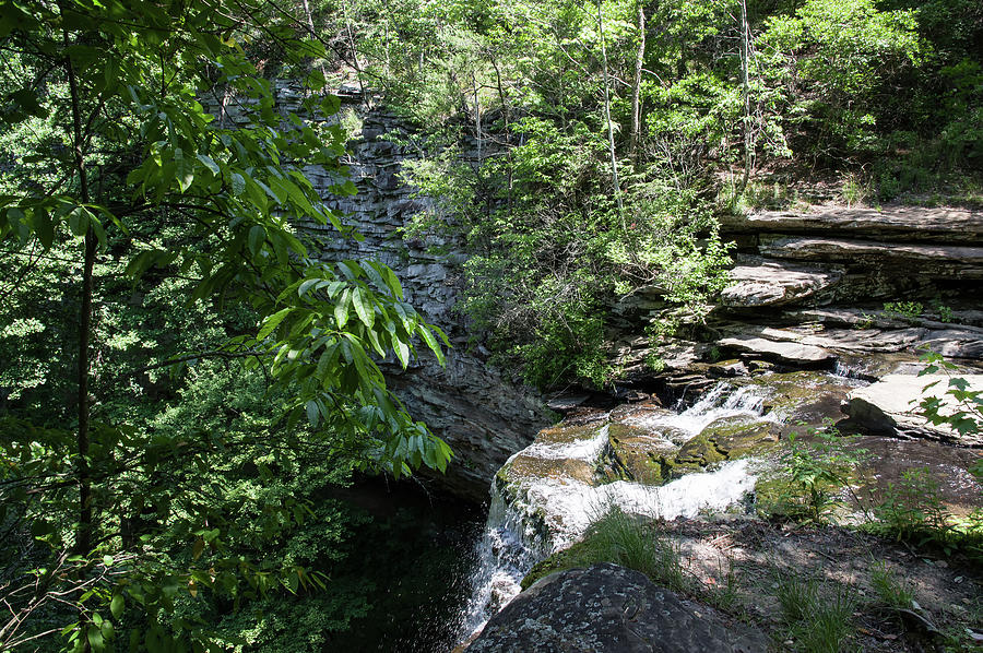 Top of Piney Creek Falls Photograph by Thomas Whitehurst - Fine Art America