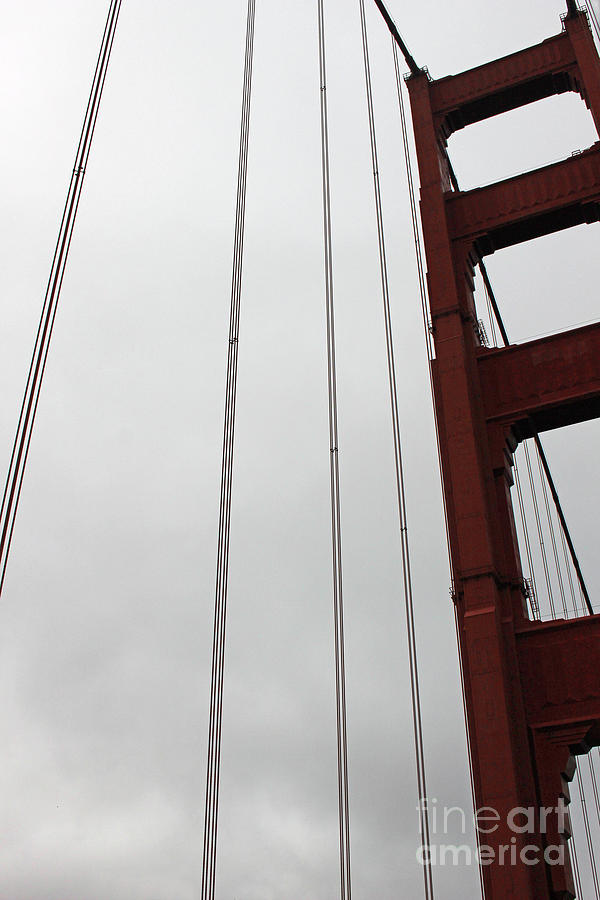 Top of the Bridge Photograph by Cheryl Del Toro
