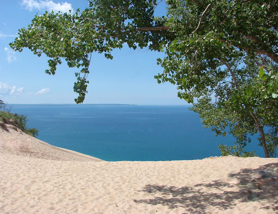 Top of the Dune at Sleeping Bear Photograph by Michelle Calkins