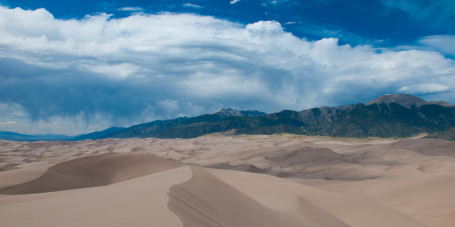 Top of the Dunes Photograph by Breaking Art - Fine Art America