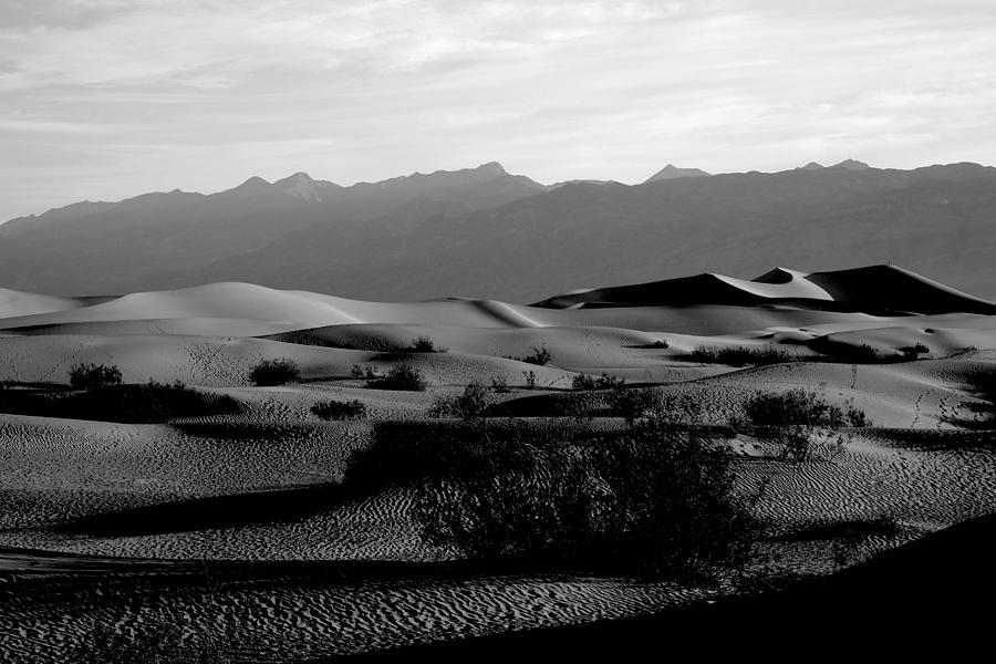 Top of the Dunes, Death Valley Photograph by Erica Keener