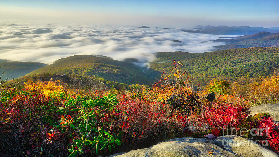Top of the Morning at Rough Ridge on the Blue Ridge Parkway by Daniel Brinneman Top of the Morning at Rough Ridge on the Blue Ridge Parkway by Daniel Brinneman