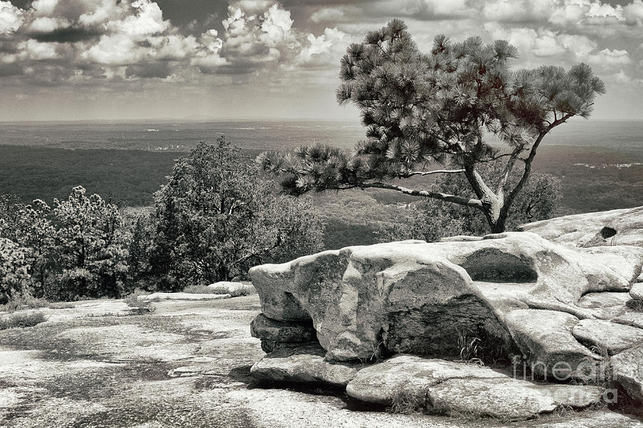 Top Of The Mountain by Tom Gari Gallery-Three-Photography Top Of The Mountain by Tom Gari Gallery-Three-Photography