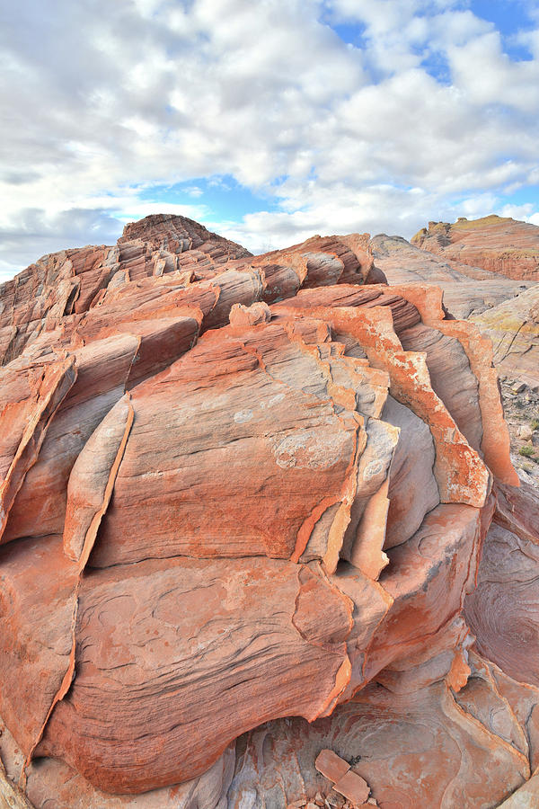 Top of the World at Valley of Fire Photograph by Ray Mathis
