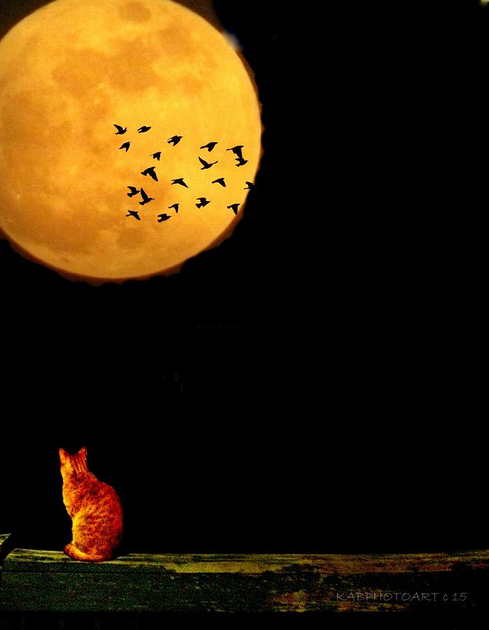Topaz and the Harvest Moon Series 2 Photograph by Kathy Barney