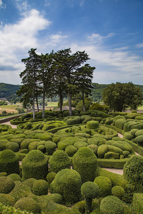 Topiary at Marqueyssac Photograph by Georgia Clare