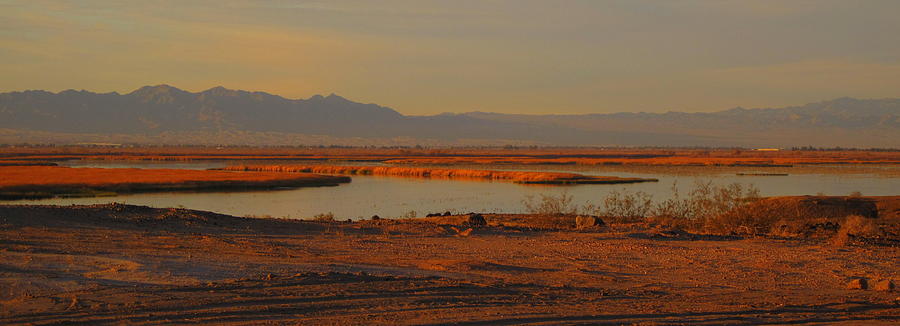 Topock Bay  Arizona Photograph by Lessandra Grimley
